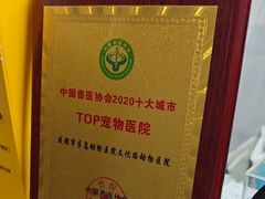 -半岛宠物医院24小时(白果林店)