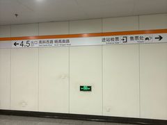 -杨高南路(地铁站)