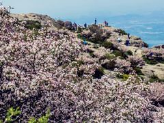-泰山花样年华景区
