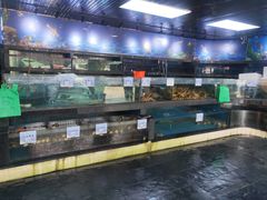 -马王堆海鲜水产市场