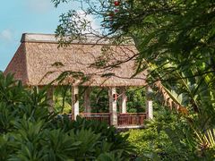 -白云中餐厅·粤菜·亚龙湾喜来登度假酒店