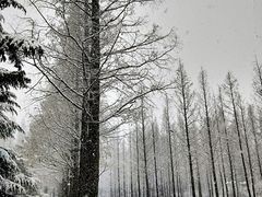 -大连理工大学(凌水校区)