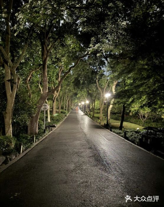 西湖外事游船(湖滨二公园外事游船码头)图片