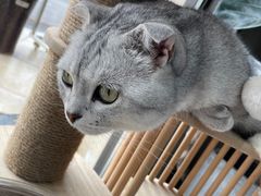 -嘉美宠物医院