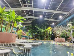 -观唐（国际）度假村温泉