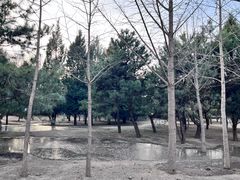 -古塔公园