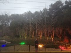 -庐山风景区花径公园