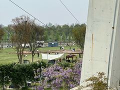 -武汉紫薇都市田园