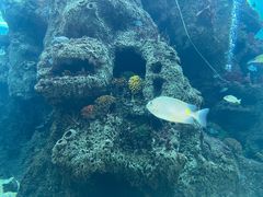 -鸿通城购物中心