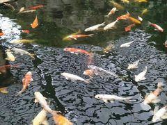 -龙达温泉生态城
