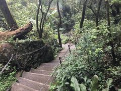 -七仙岭温泉国家森林公园