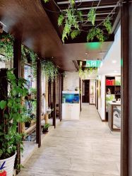 -青青一生美皮肤管理