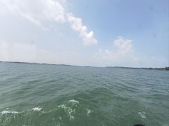 -鄱阳湖国家湿地公园