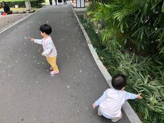 -晓港公园