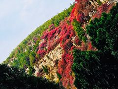 -石门坊