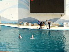 -北戴河圣蓝海洋公园