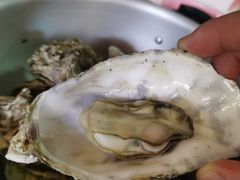 -探秘12时海鲜生蚝排档