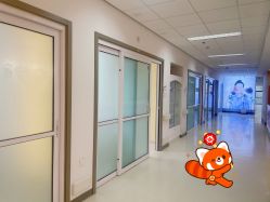 -北京爱育华医院-医疗美容科