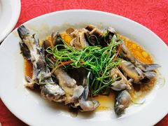 清蒸乌鱼-棠记海鲜餐厅(南朗镇店)