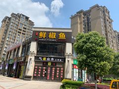 -鲜椒鱼·雅安地标性美食