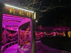 -印象普陀
