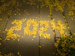 -宁波市保国寺古建筑博物馆