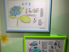 -上海昆虫博物馆