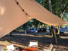 -南宁良凤江国家森林公园