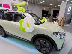 -上海浦东smart汽车全功能店(金桥店)