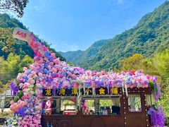 -龙湾潭国家森林公园