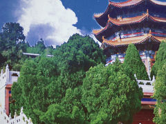 -龙口南山旅游景区