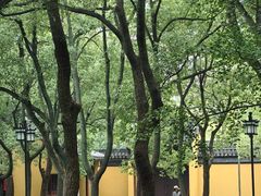 -西园戒幢律寺