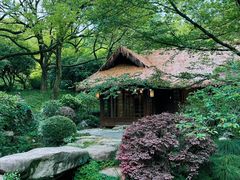 -中国茶叶博物馆(双峰馆区)