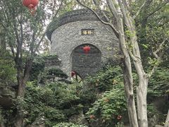 -朴园