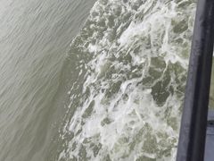 -鱼珠码头(轮渡站)