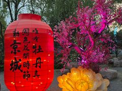 -洛阳市隋唐城遗址植物园
