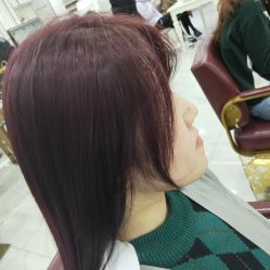 -镁连社·美联社