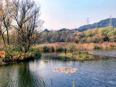 -西湖风景区-江洋畈生态公园