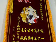 -守诺宠物医院·眼科· 神经外科·爬宠专科(虹口店)