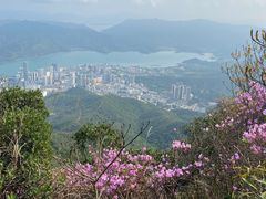 -梧桐山风景名胜区