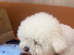 -申普宠物医院·眼科·心内科·影像科(普陀分院)