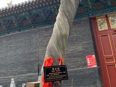 -关林