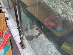 -星巴克(郑州曼哈顿广场店)
