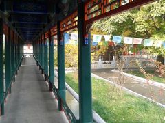 -紫竹院公园冰场