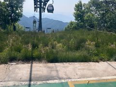 -泰山风景名胜区