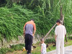 -莲湖公园