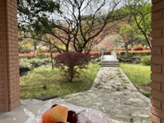 -宝界山林公园