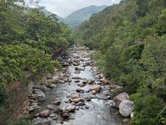 -海南热带雨林国家公园吊罗山景区