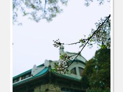 -武汉大学-樱园