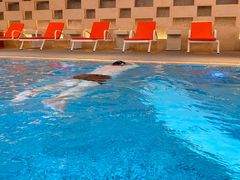 -上海雅居乐万豪侯爵酒店